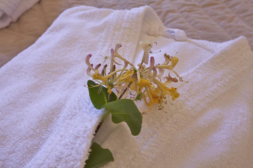 Mare E Monti - Hotel De Charme Feliceto Εξωτερικό φωτογραφία